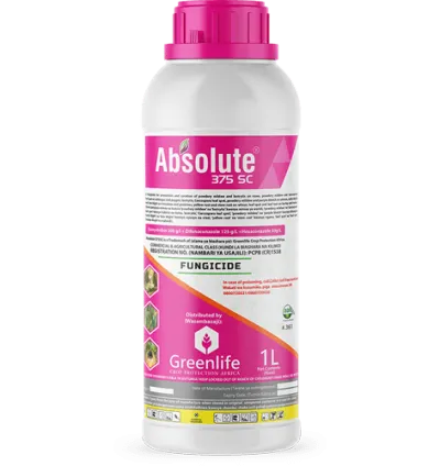 Absolute Star ® 400SC