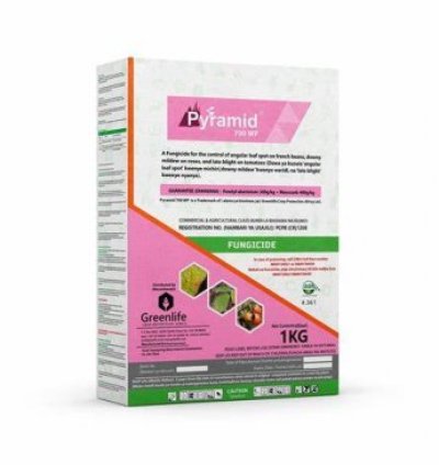 Pyramid® 700WP