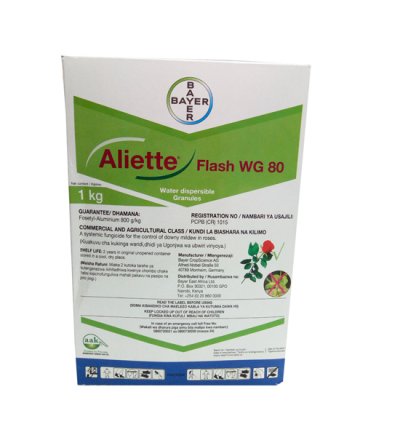 Aliette WG80