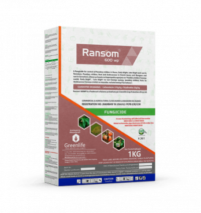 Ransom 600WP