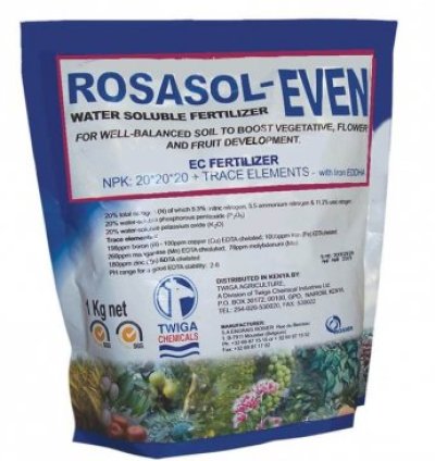 Rosasol Even