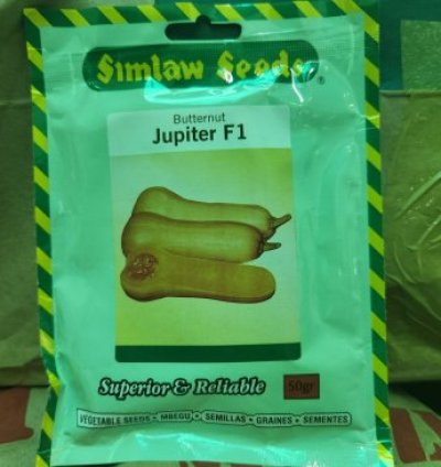 Jupiter F1 Butternut