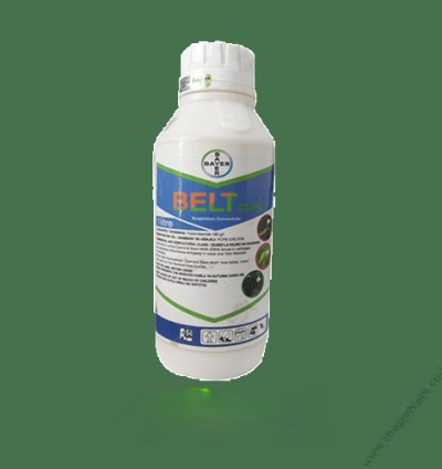 Belt ® 480 SC