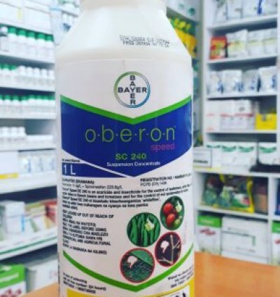 Oberon Speed SC240