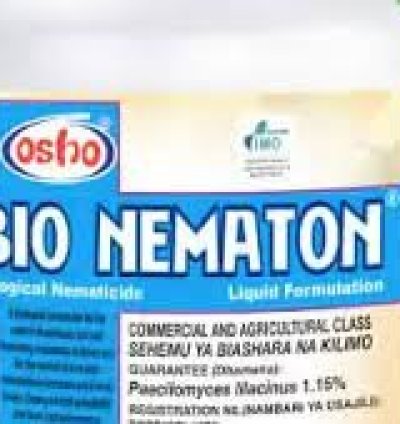 Bio-Nematon