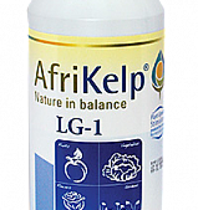 Afrikelp