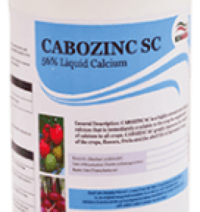 Cabozinc SC