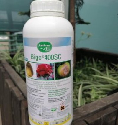 BIGO® 400SC