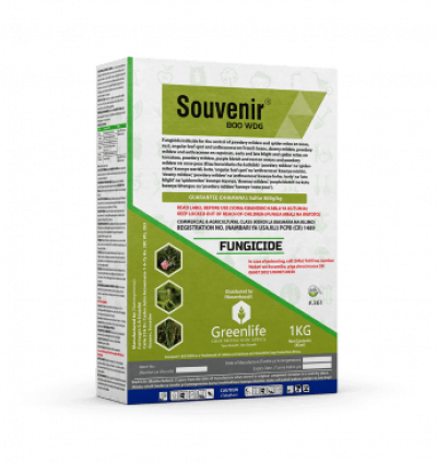 Sourvenir ® 800WDG