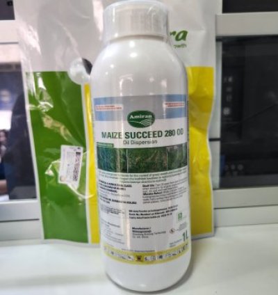 Maize Succeed 280 OD