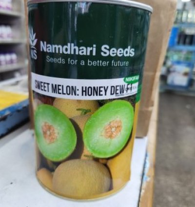Sweet Melon: Honey Dew F1