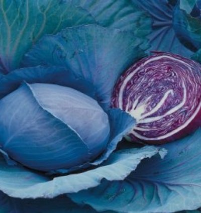 Riva F1 Red Cabbage 2500 Seeds (15Gms)