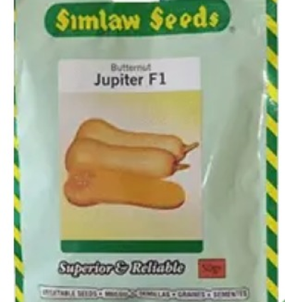 Jupiter F1 Butternut