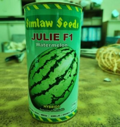 Watermelon Julie F1