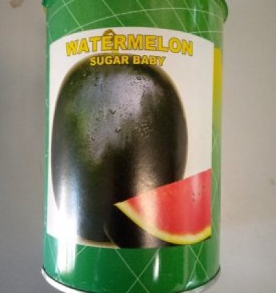 Sugar Baby (Safari Seed)