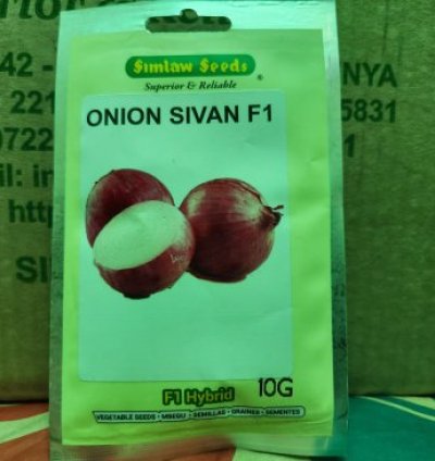 Onion Sivan F1