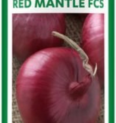 Onion Red Mantle FCS