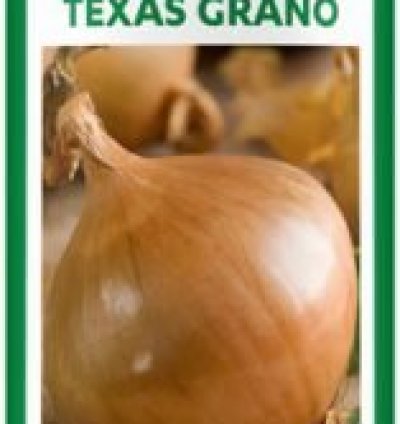 Onion Texas Grano