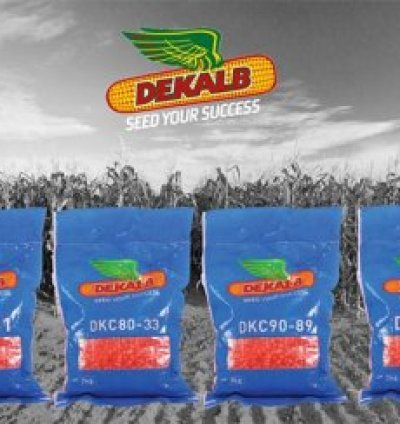 DK777 Hybrid Maize - 2Kg