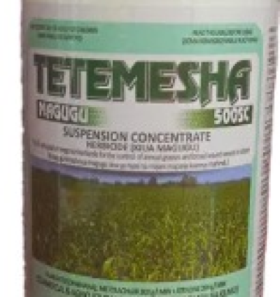 Tetemesha