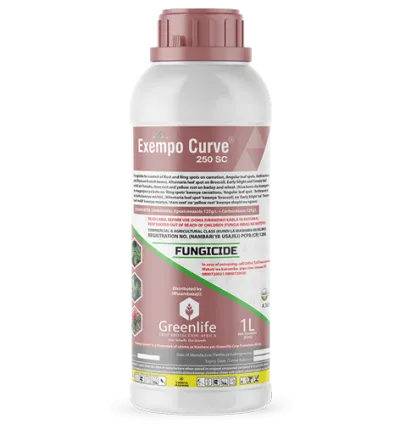 Exempo Curve ® 250SC