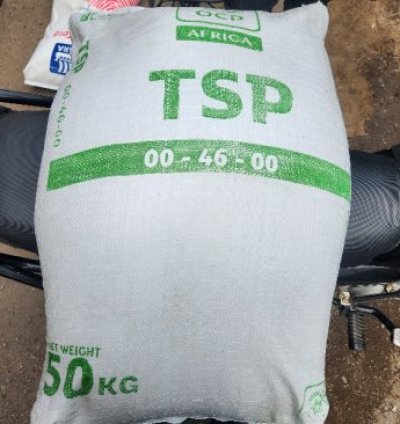 TSP Fertilizer- 50Kg