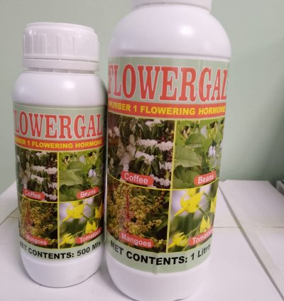 Flowergal – Flowering & Fruit Boost Hormone Spray