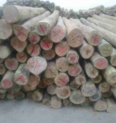 Top Diameter 4" ‚Äì 5" Treated Poles 8 Feet Height