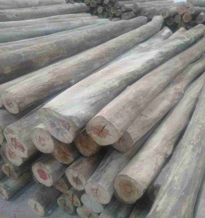 7 Feet Height 4" ‚Äì 5" Top Diameter Treated Poles