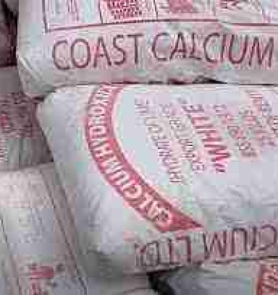 COAST CALCIUM 25KG